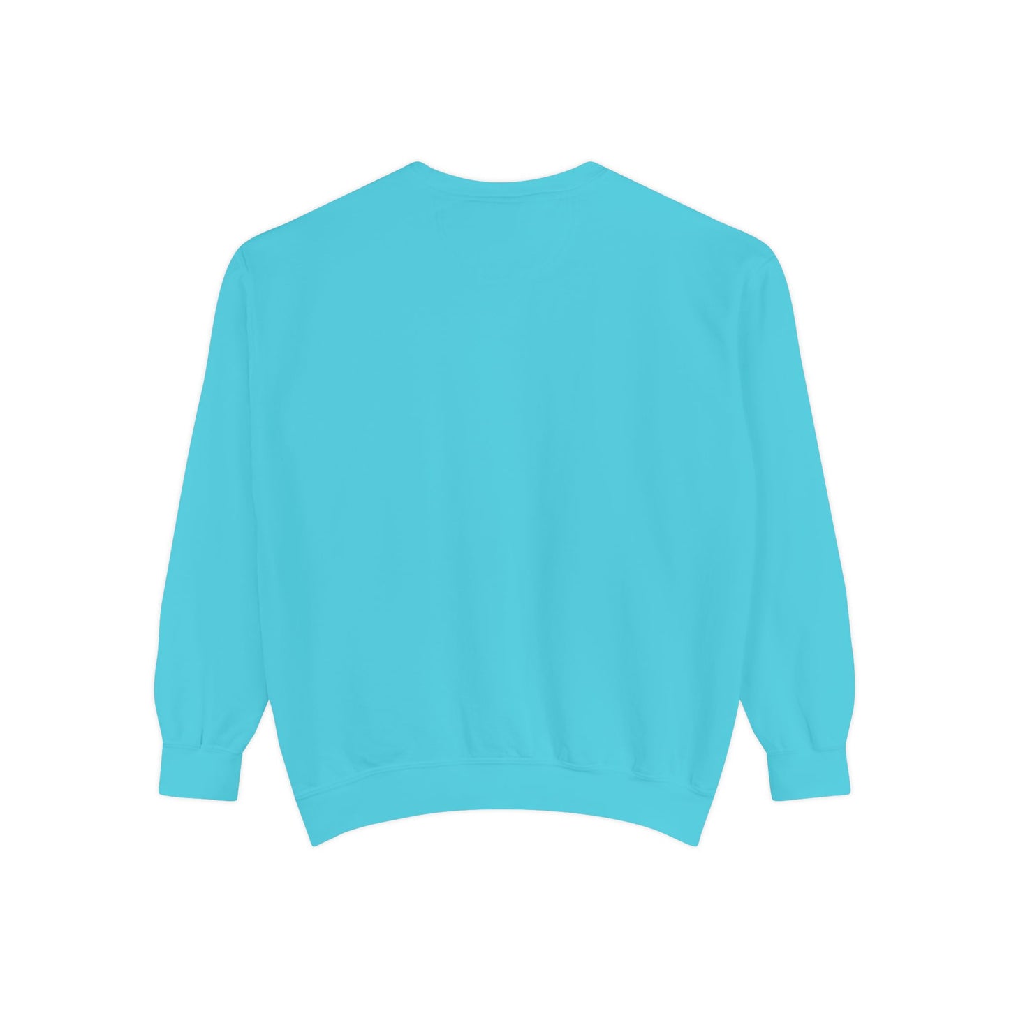 Sweatshirt - The winter full moon skater