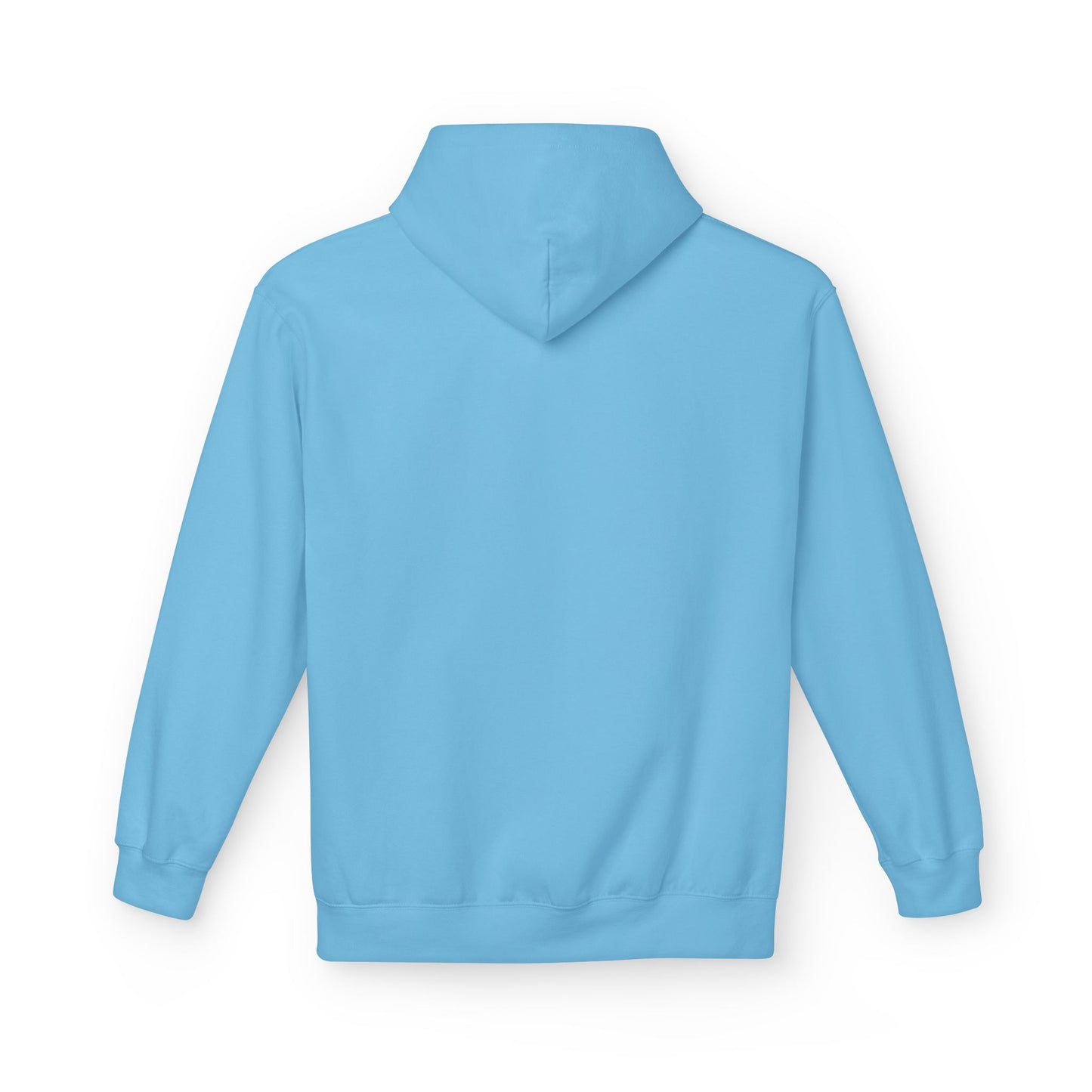 Hoodie - the winter full moon skater